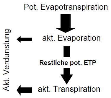 Datei:Schema aktuelle Verdunstung.png